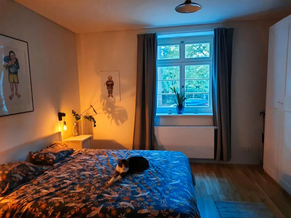 3-Raumwohnung im Kleisthof