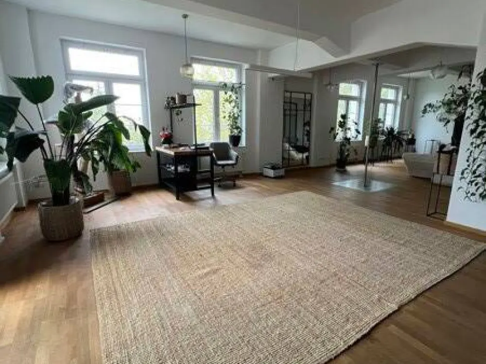 Luxurious loft apartment with two bathrooms and balcony in Dresden-Friedrichstadt!