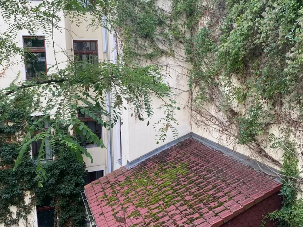 Ruhige, möblierte Altbauwohnung im Seitenflügel