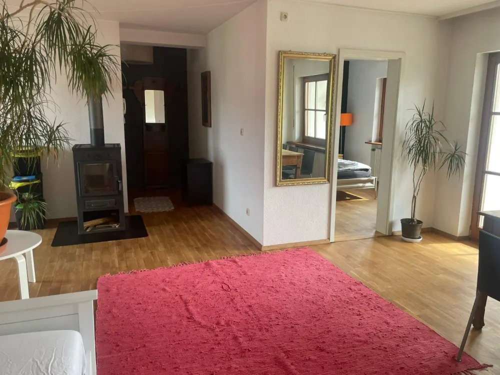 2-room apartment, sunny, with kitchen, parquet, balcony - furnished for a limited time