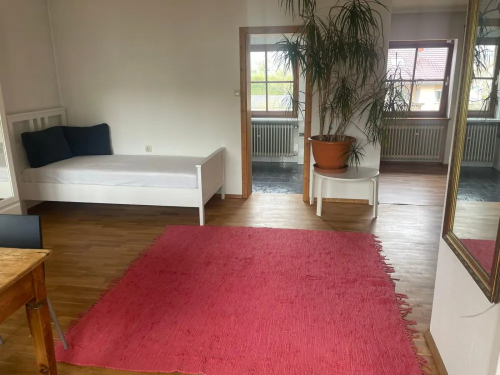 2-room apartment, sunny, with kitchen, parquet, balcony - furnished for a limited time