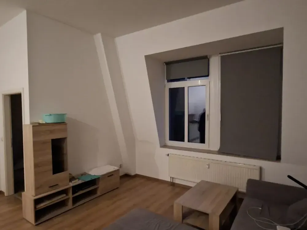 Living with Character: Attic Apartment in Greenery on the Edge of Dresden