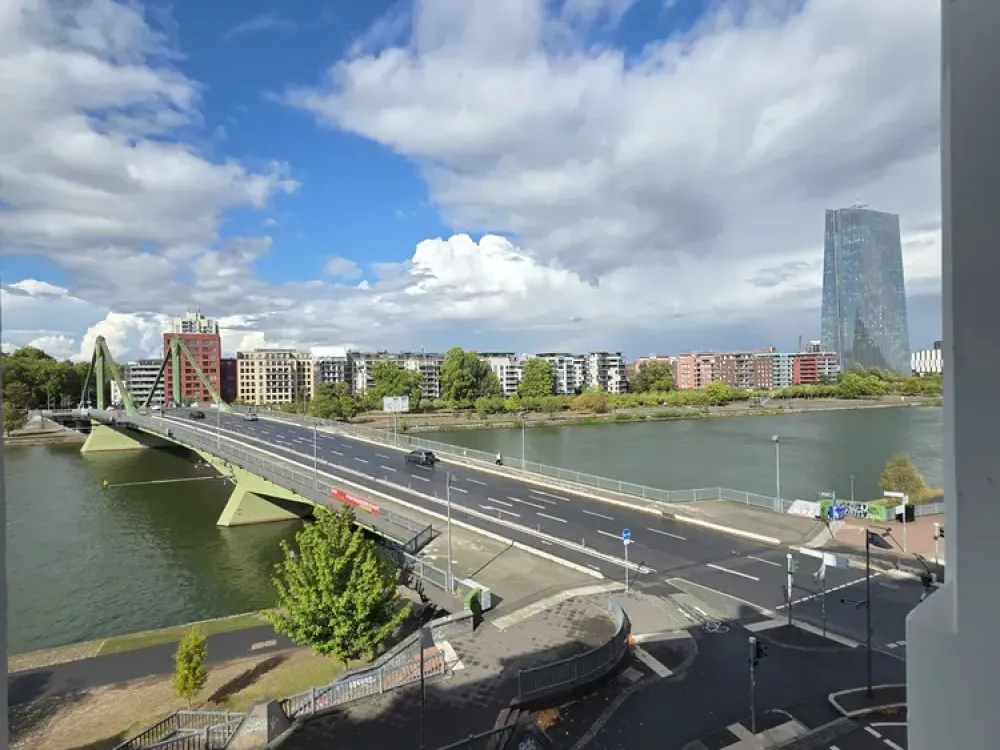 Stilvolle 3-Zimmer-Altbauwohnung mit Mainblick