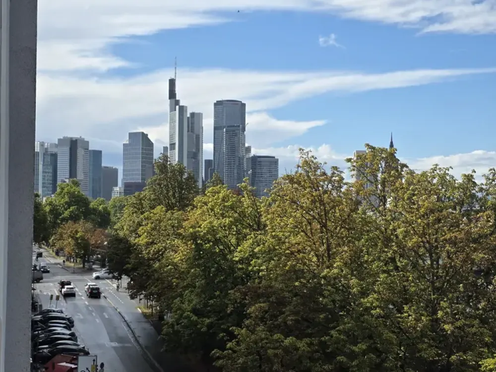 Stilvolle 3-Zimmer-Altbauwohnung mit Mainblick