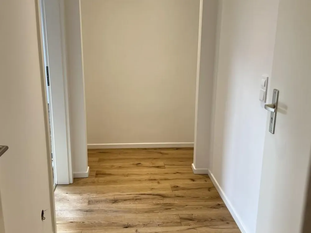 Frisch renovierte Einzimmerwohnung