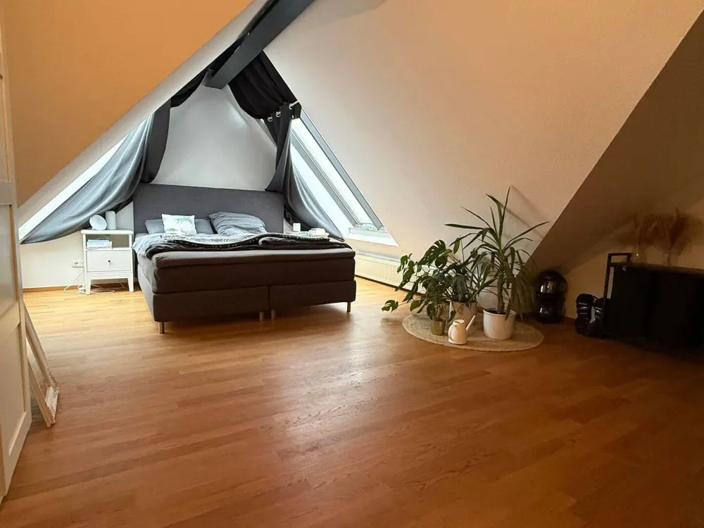 Exceptional Old Building Apartment with Roof Terrace and Balcony