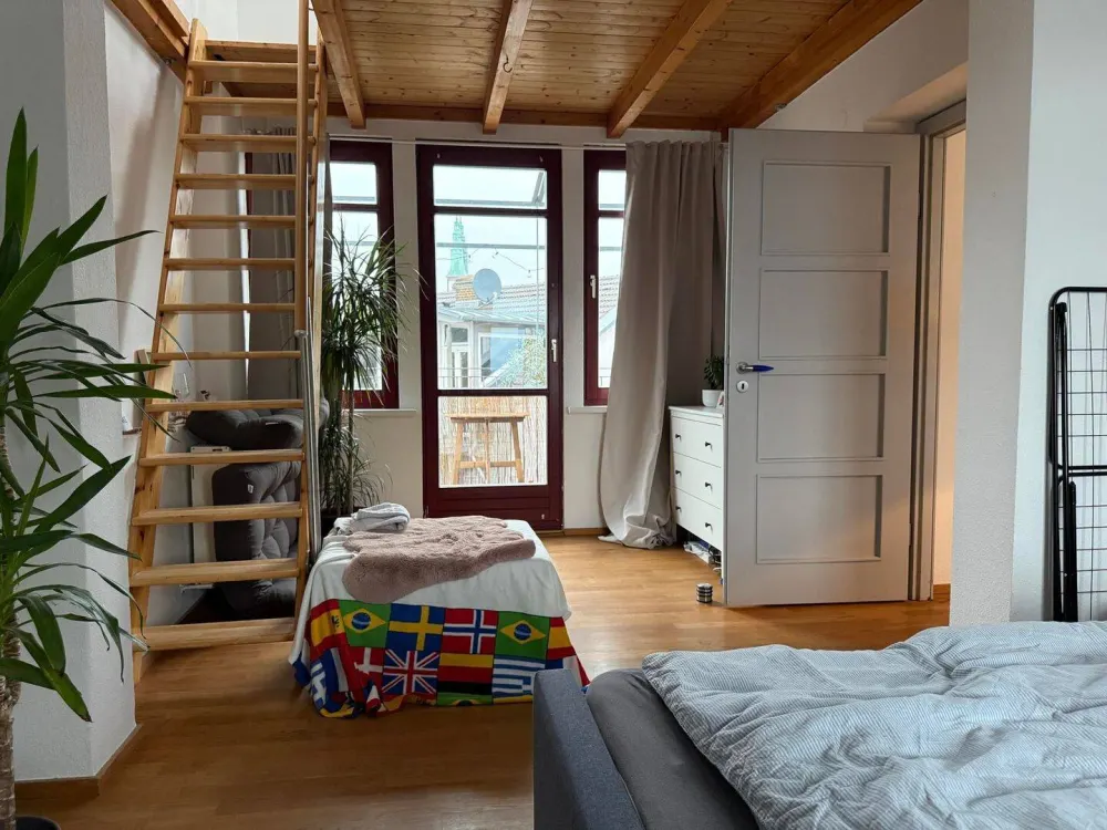 Exceptional Old Building Apartment with Roof Terrace and Balcony