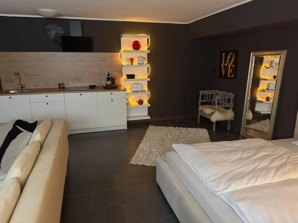 Voll möblierte Souterrainwohnung zu vermieten 1 zimmerwohnung