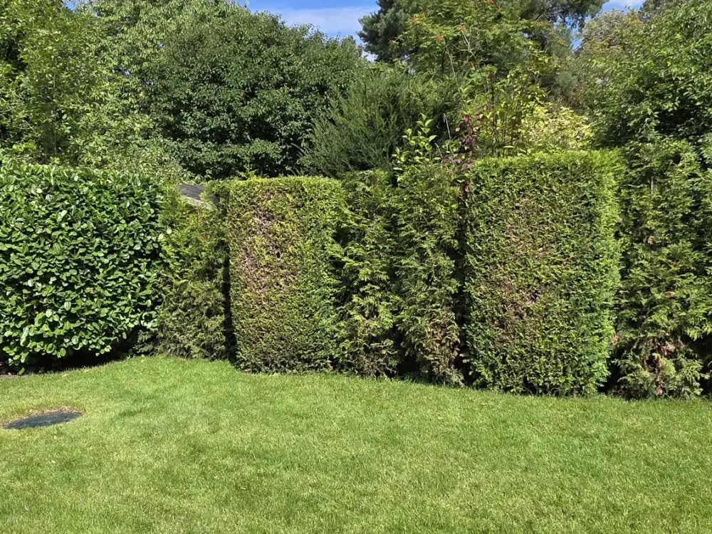 Wohlfühlhäuschen mit Gartenanteil in Berlin-Frohnau
