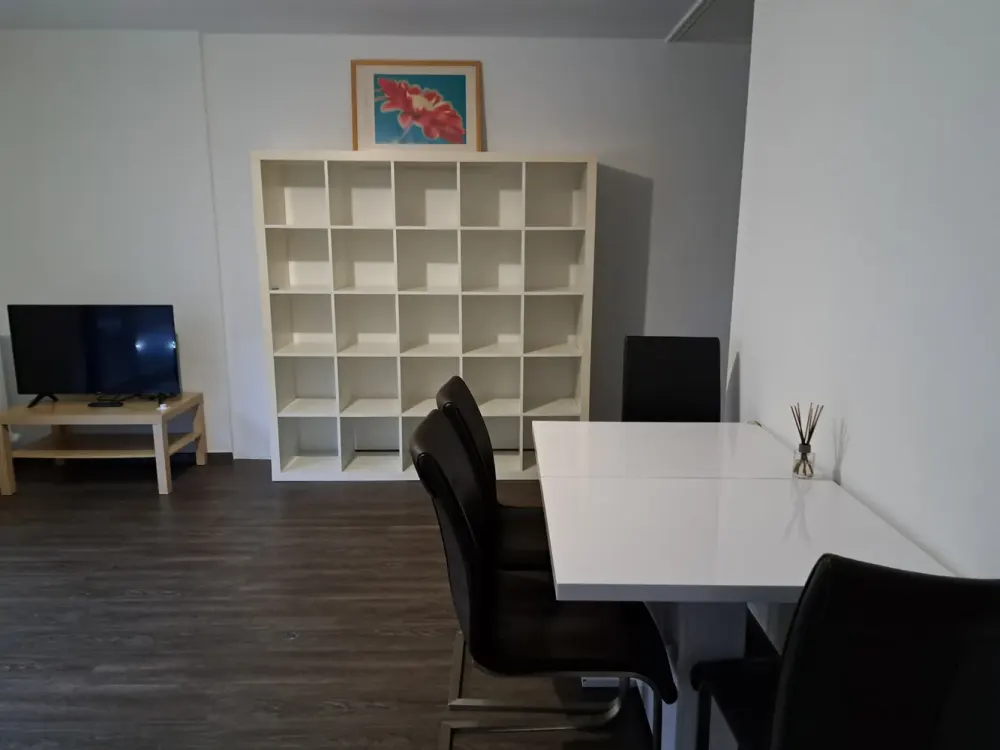 Neuer Job - neues Zuhause - möbl. helles Appartement !!!