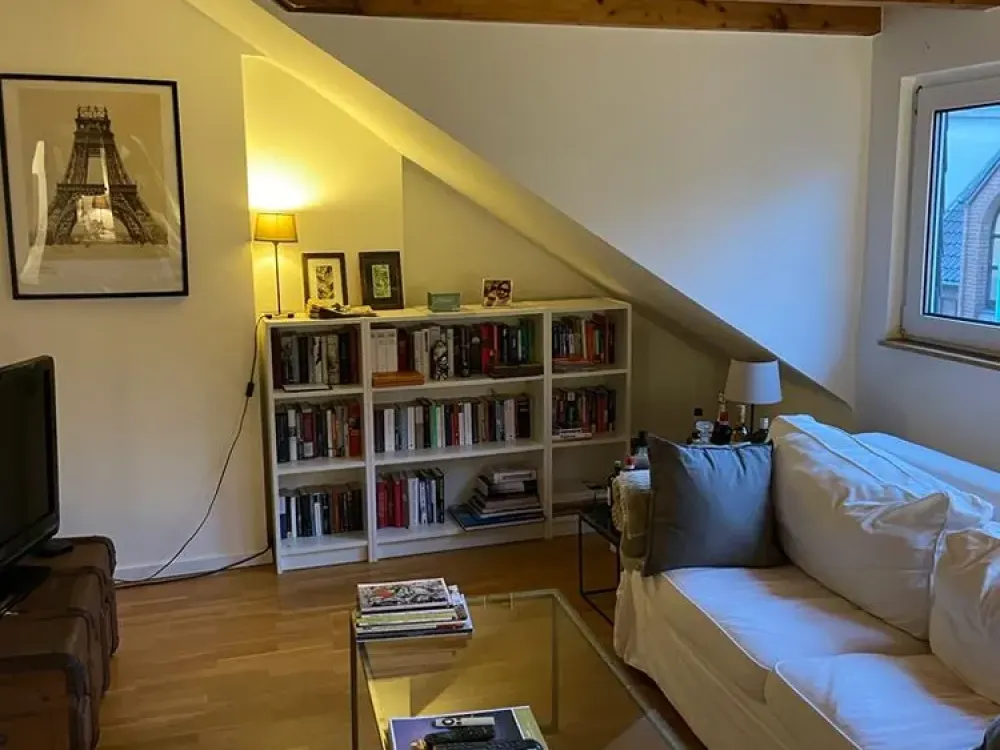 Karlstadt - Charmante Wohnung unter'm Dach