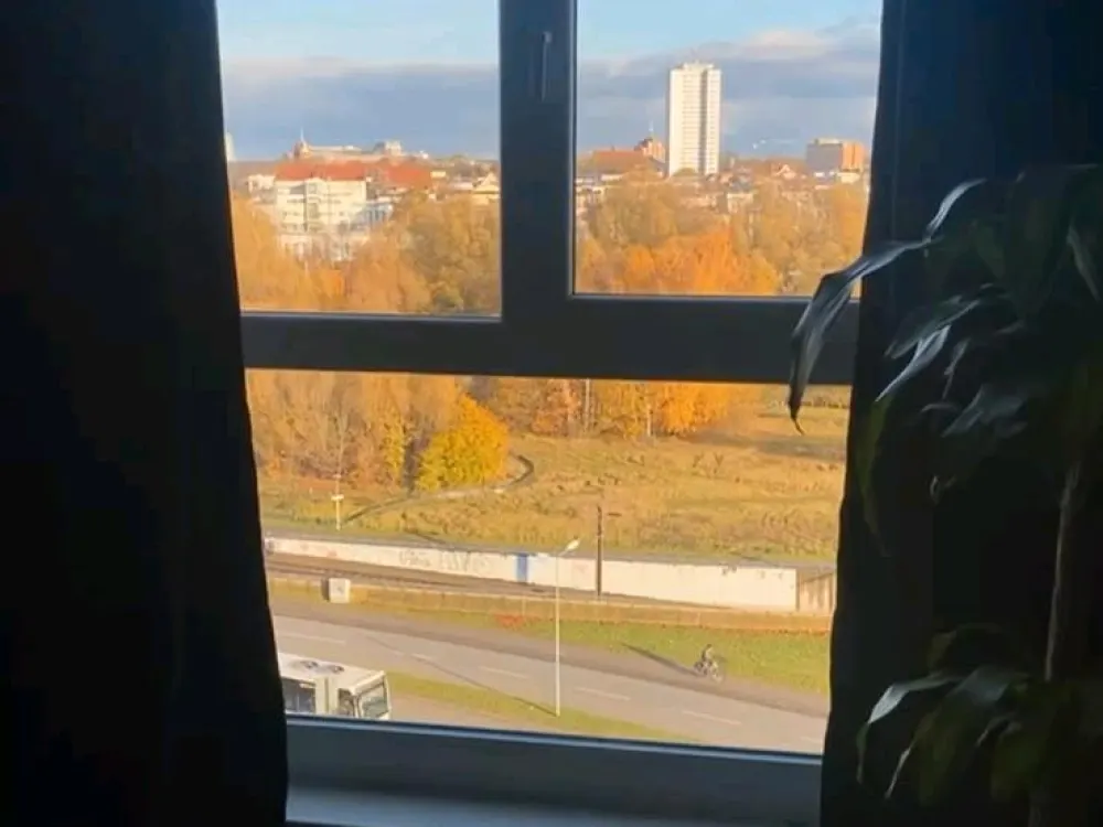 2-Room Apartment for Rent