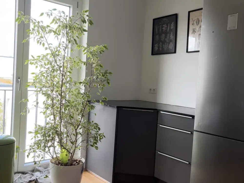 helle 3-Zimmer Wohnung mit zwei Bädern, Balkon, Lodgia und Stellplatz mit Wallbox
