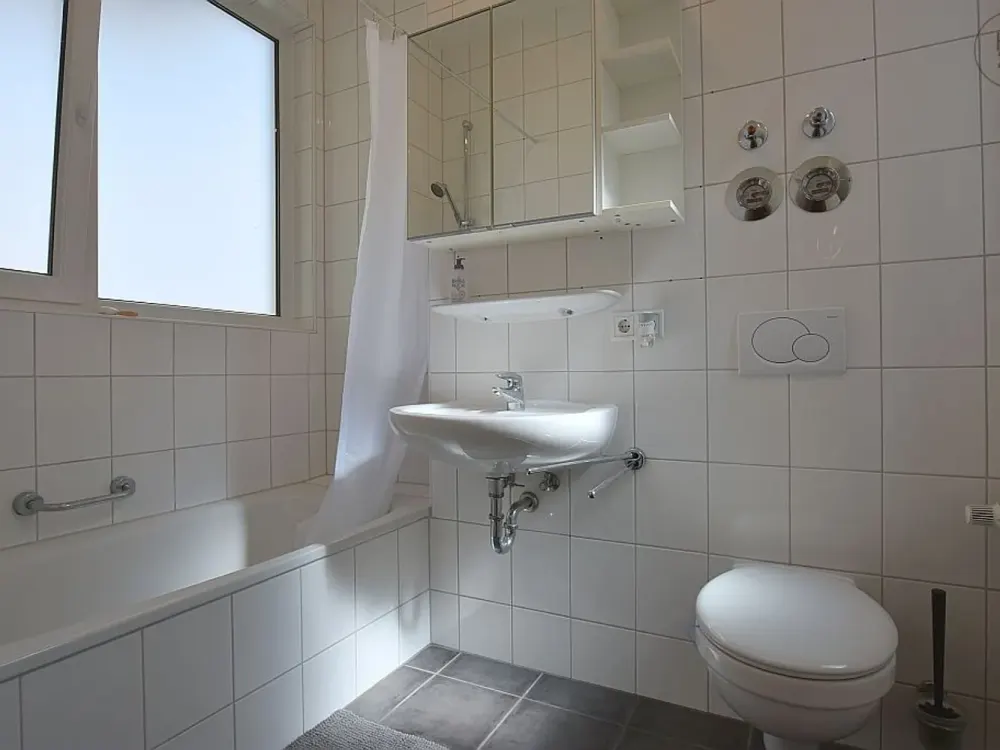 Modern Furnished Apartment with Balcony in Stuttgart Bad Cannstatt