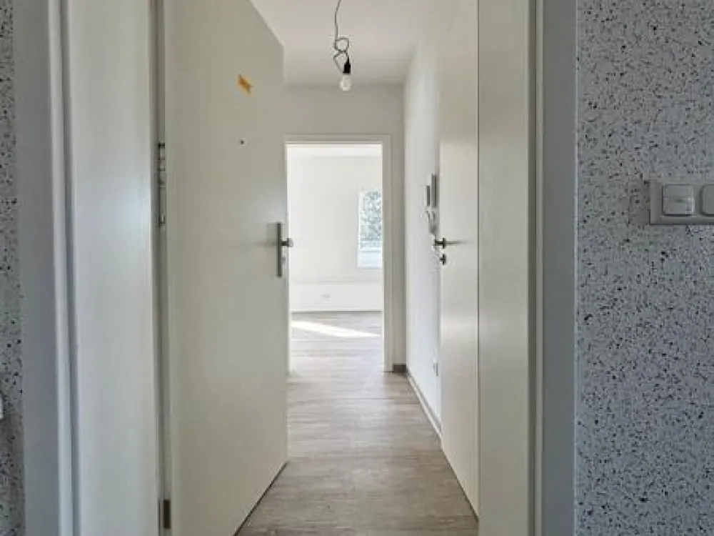 Neu! Moderne 2-Zimmer-Dachgeschosswohnung in ruhiger Waldrandlage, Erstbezug