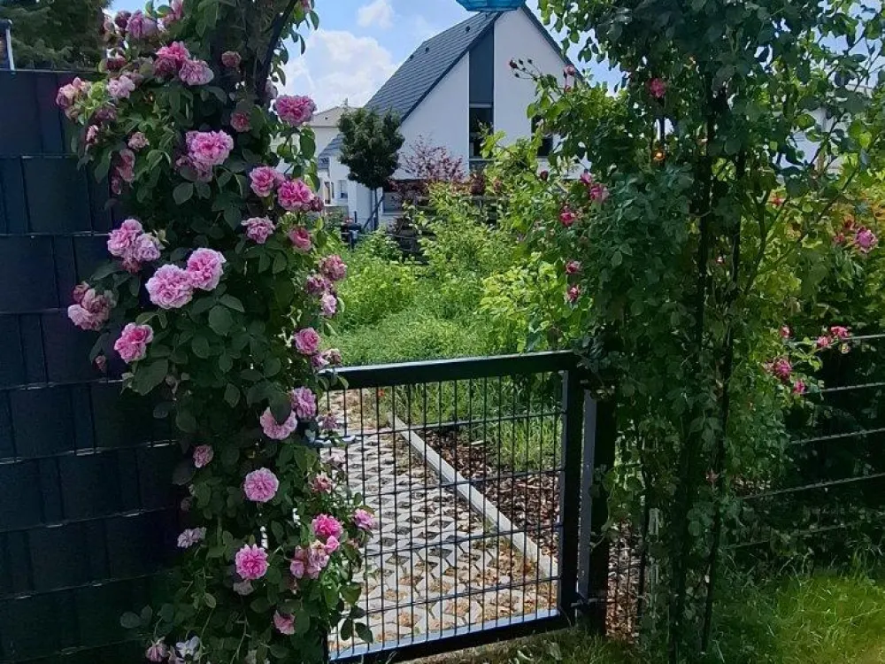 Nürnberg 2 Zimmer Wohnung mit Gartenanteil und Stellplatz