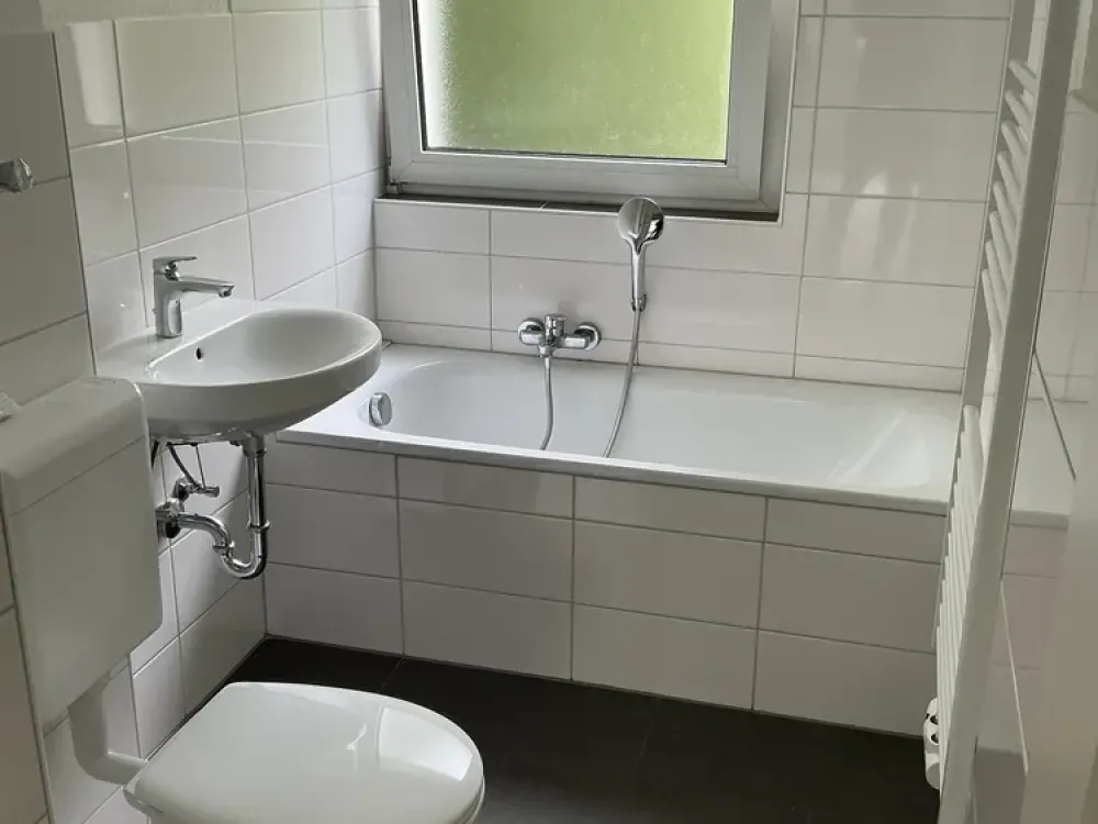 Neu renovierte 3,5-Zi.-Wohnung mit Balkon