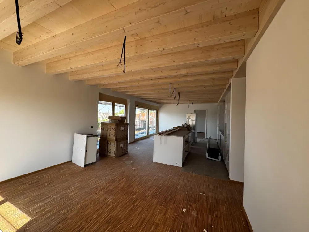 Exclusive Penthouse with Roof Terrace and Whirlpool Bathtub
