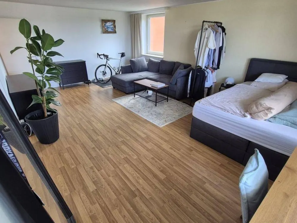 Sonnige 1-Zimmer-Wohnung mit Südbalkon, Alpenblick und moderner Küche
