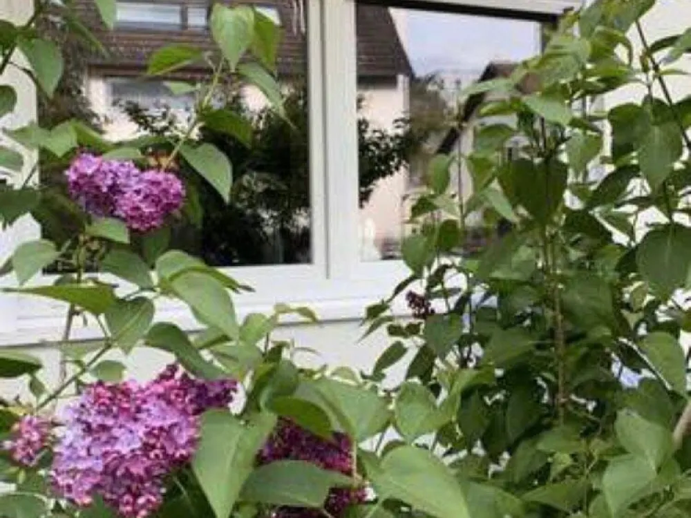 Stilvoll möbliertes 1-Zim-Appart. in Ffm-Sachsenh.-Nähe Südbanhof