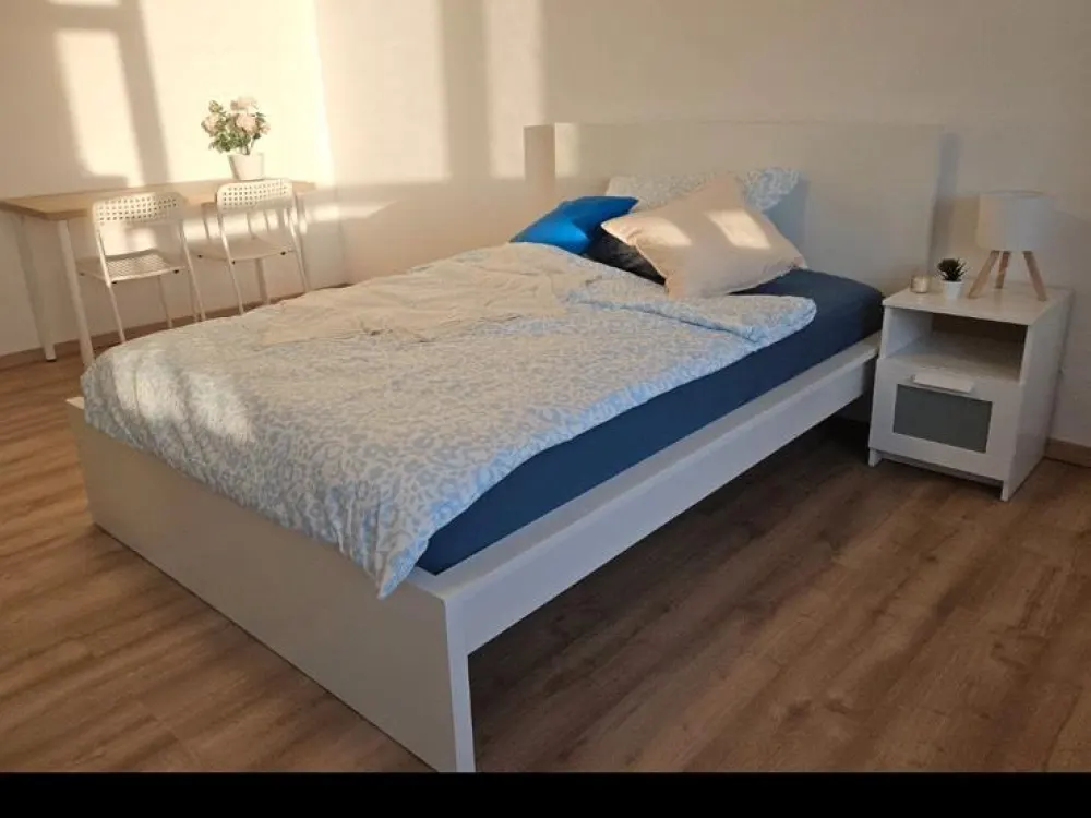 AB OKTOBER - Möblierte 1-Zimmerwohnung mit Balkon am Wöhrder See