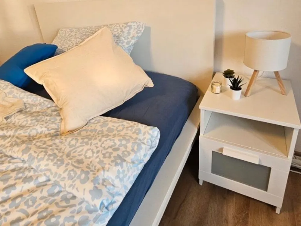 AB OKTOBER - Möblierte 1-Zimmerwohnung mit Balkon am Wöhrder See