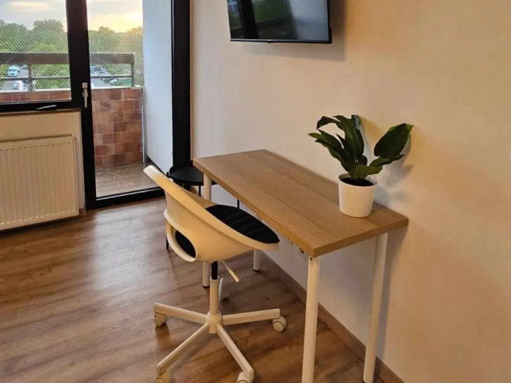 AB OKTOBER - Möblierte 1-Zimmerwohnung mit Balkon am Wöhrder See