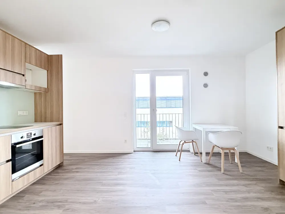 Großzügiges möbliertes 1,5-Zimmer-Appartment mit Dachterasse