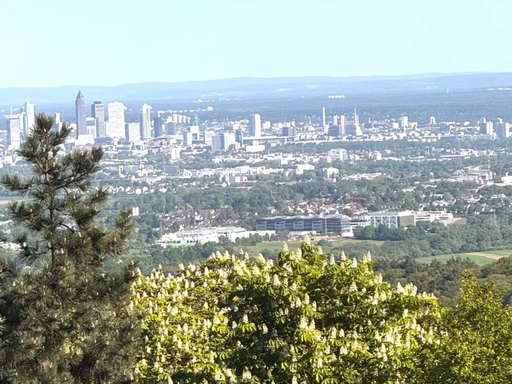 Möblierte/ fully furnished 3,5-Zimmer-Wohnung mit Skylineblick in Königstein im Taunus