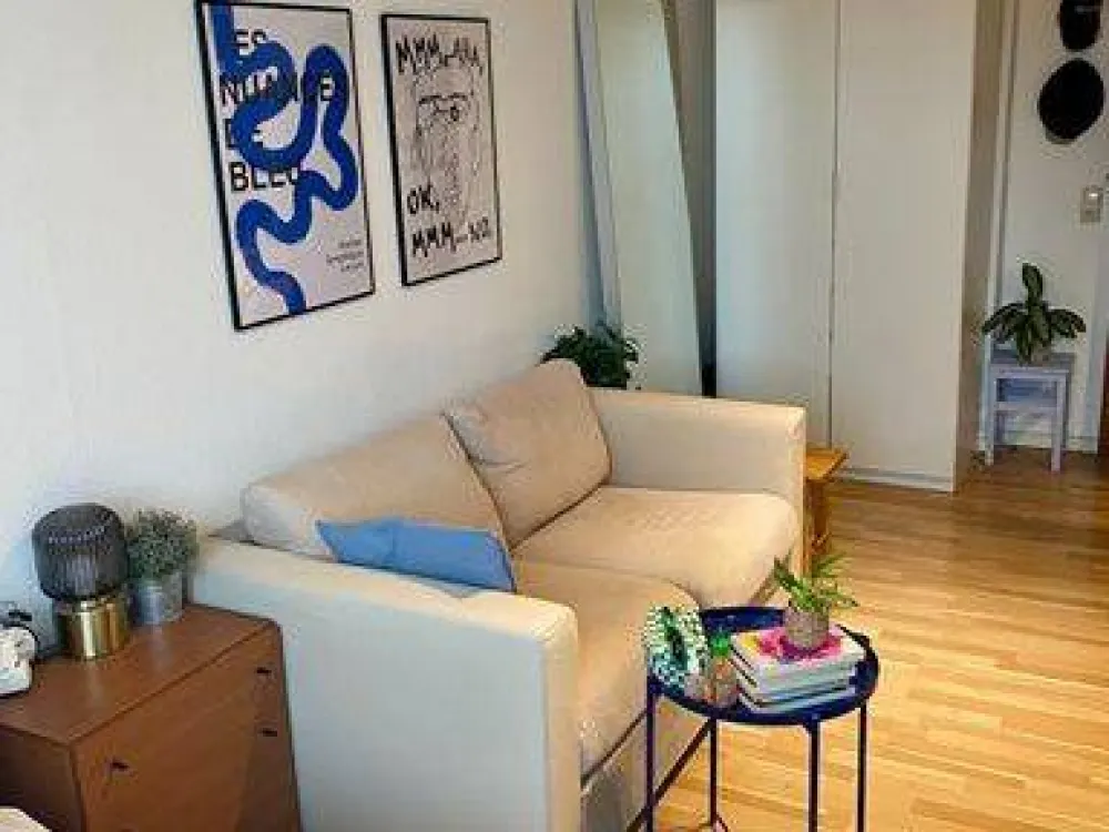 Beautiful 1.5-Room Apartment for Sublease!