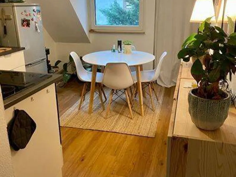 Beautiful 1.5-Room Apartment for Sublease!
