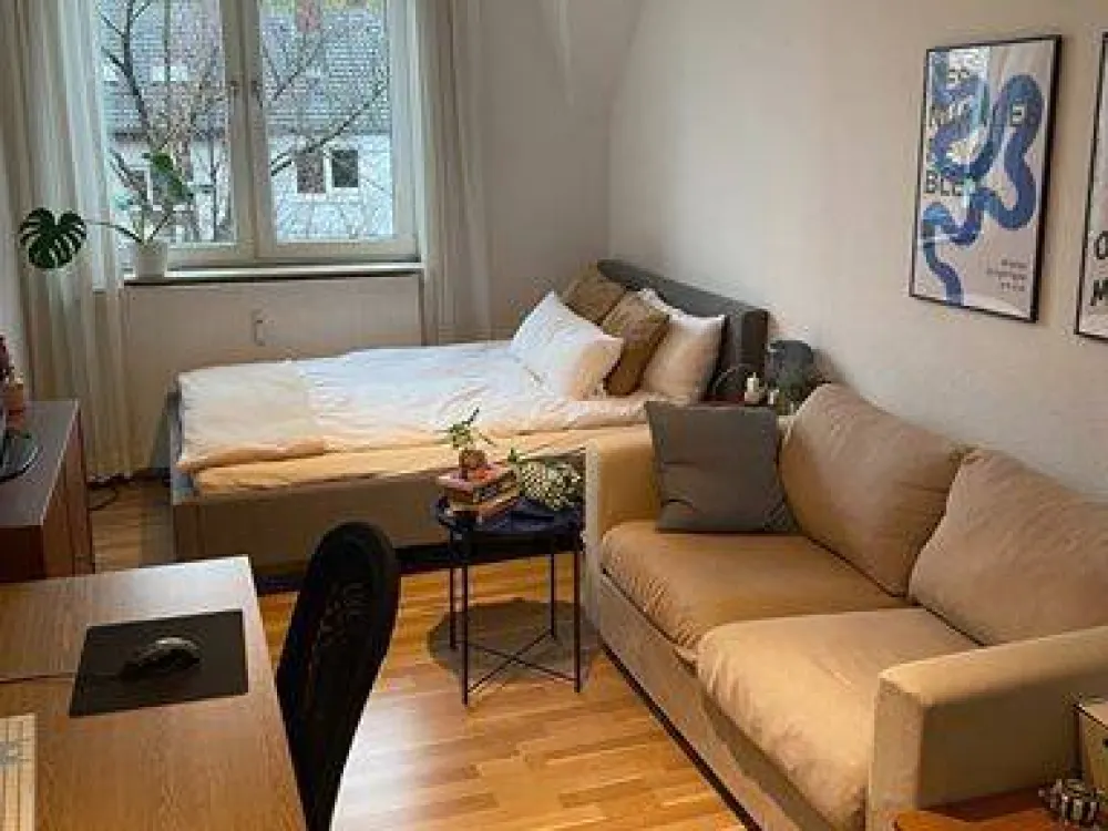 Beautiful 1.5-Room Apartment for Sublease!