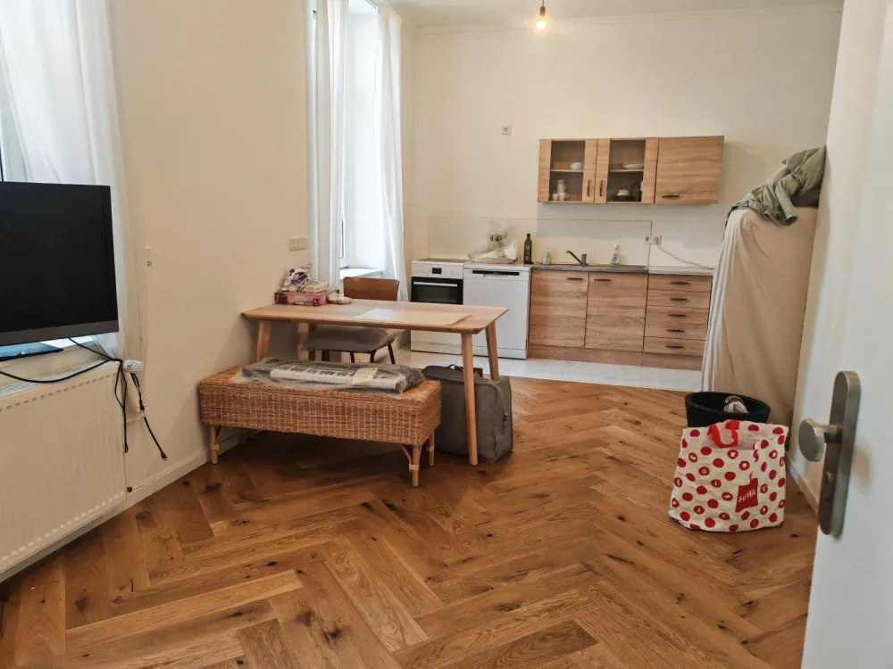 1 ZW STUDIO EBK DUSCHBAD INTERNET STROM HEIZUNG ALLES incl 1 WARMMIETE ! AN DER GOTHE UNI FUSSLÄUFIG ALTE OPER BANKENVIERTEL PENNY DM REW POST GRÜNEBURGPARK BUS/U BAHNEN GRÜNEBURGWEG 79