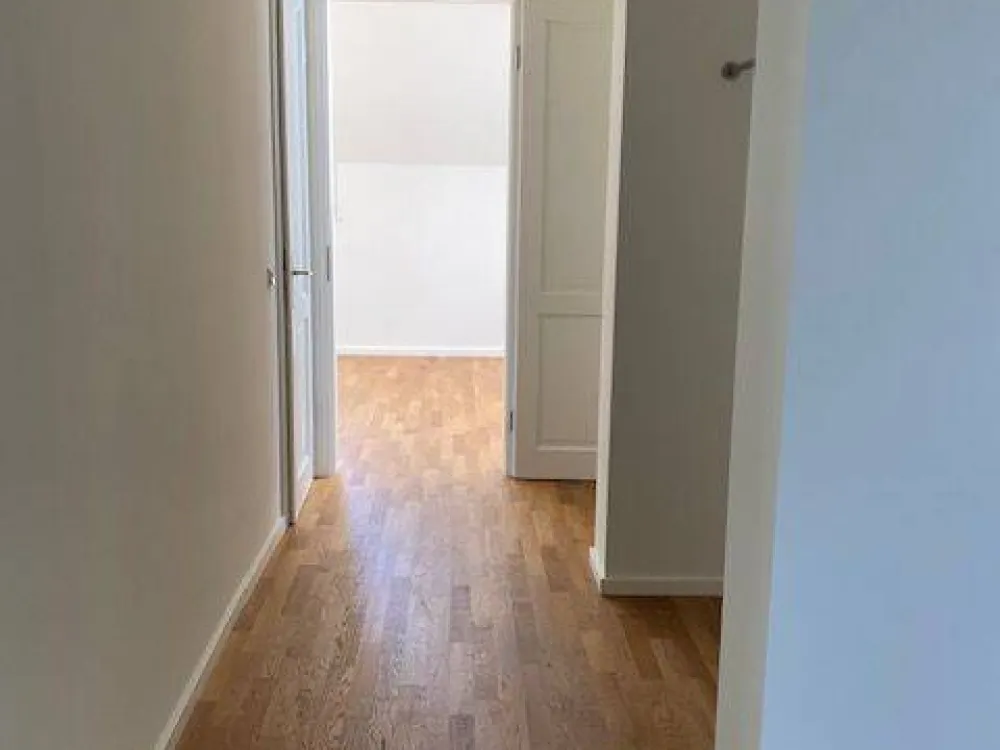 Zweitbezug nach Kernsanierung++ Tolle Zweieinhalbzimmerwohnung direkt am Main