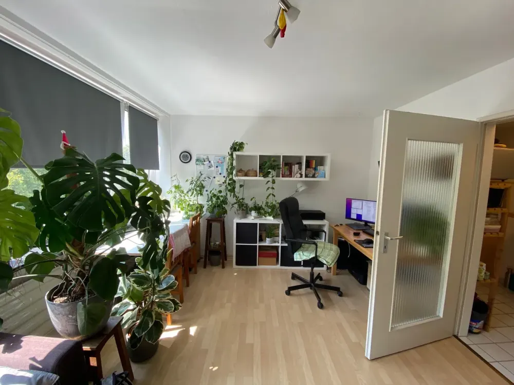 Schönes 1. Zimmer Apartment SB Innenstadt mit großzügiger Belichtung/Aufzug
