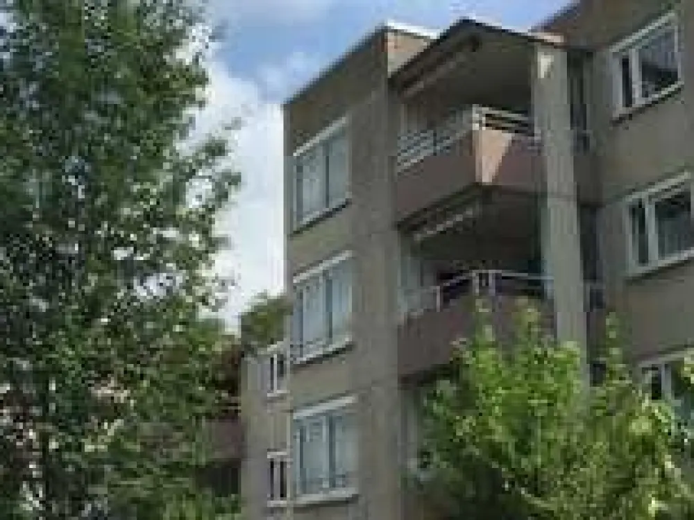 Großzügige 3,5 Zimmer Wohnung mit Aussicht und Balkon Neue Küche