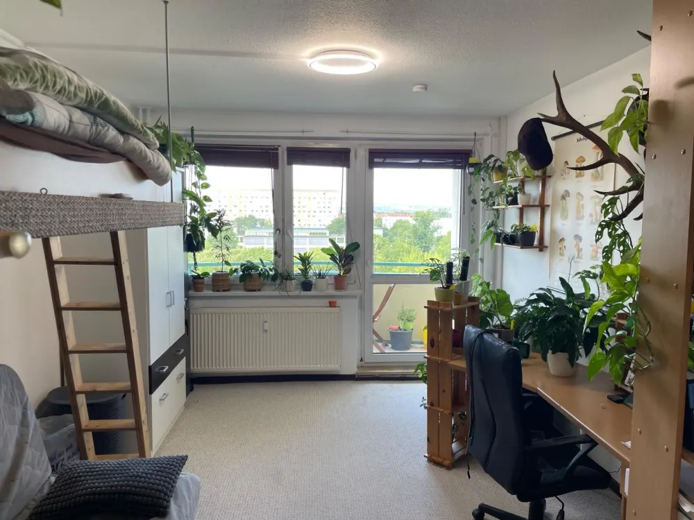 Volleingerichtete Studentenwohnung 32qm Johannesvorstadt