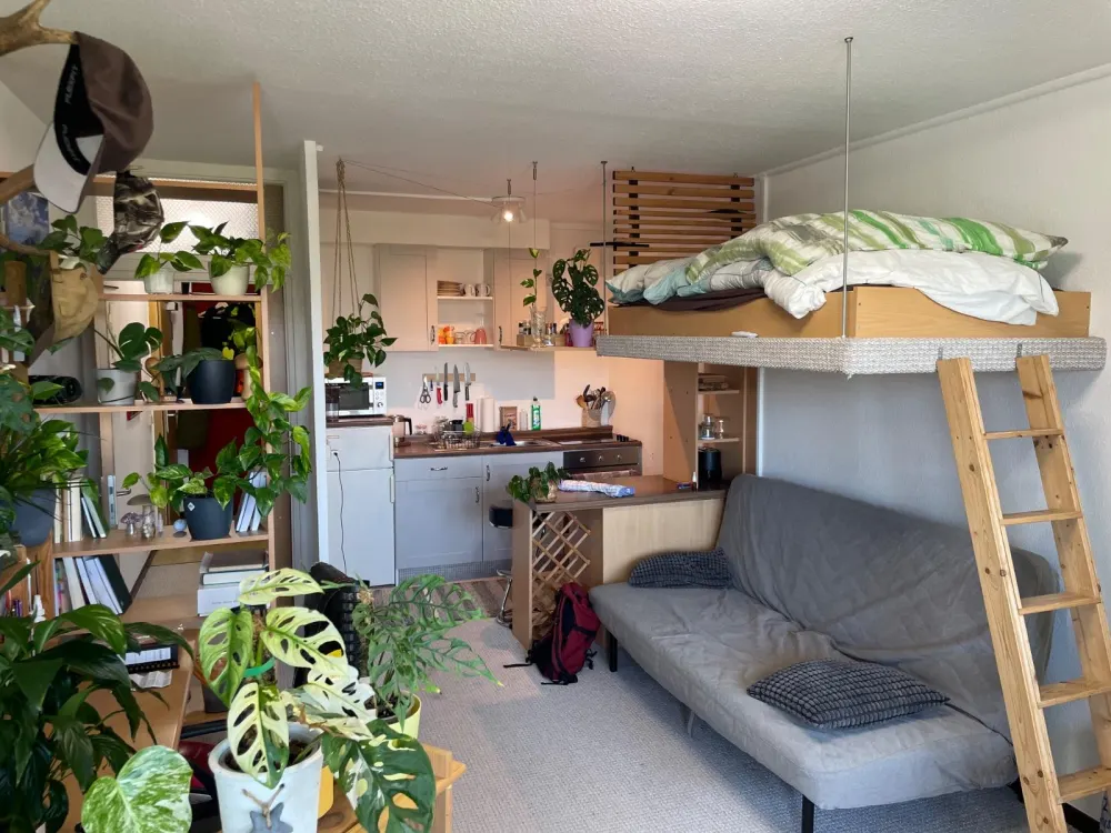 Volleingerichtete Studentenwohnung 32qm Johannesvorstadt