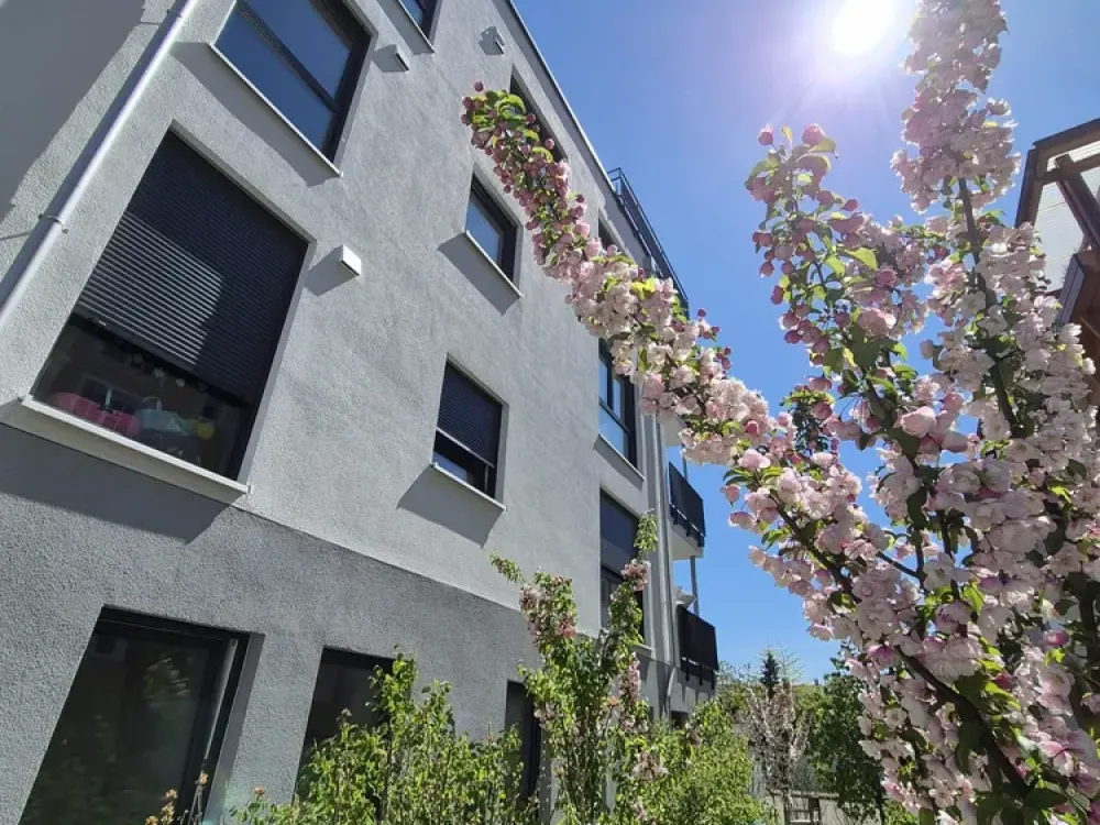 Neubau - Lichtdurchflutetes Penthouse mit Bergsicht, zentrale Lage