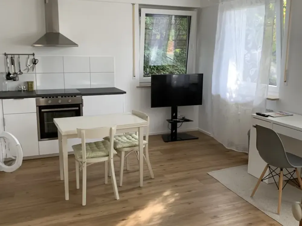 Top Lage: 1-Zimmer-Apartment in Stuttgart -Frauenkopf