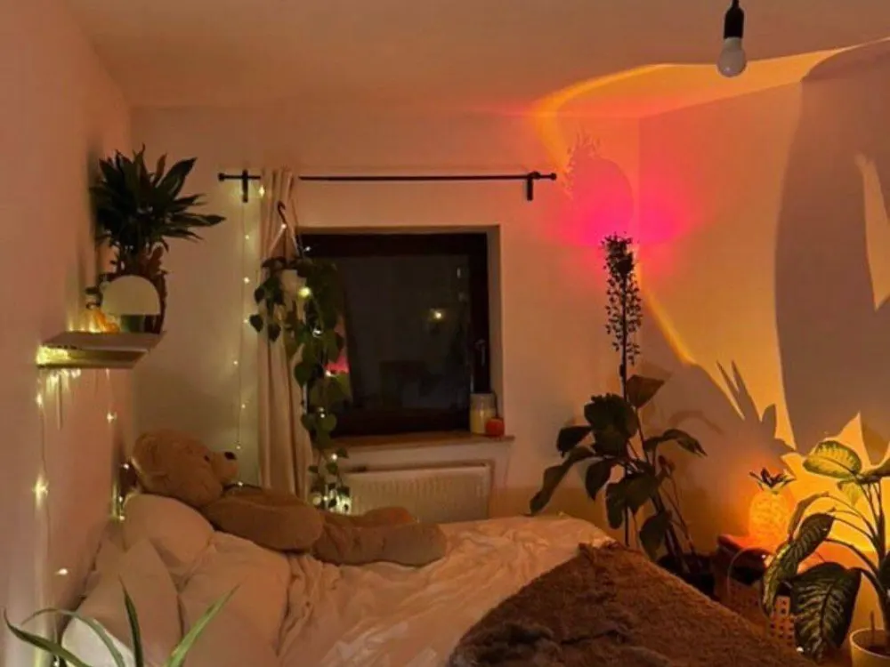 3 Person Flat-Share
