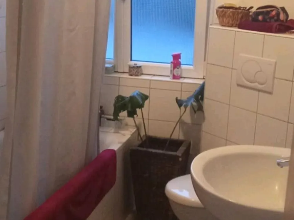 Suche Nachmieterin