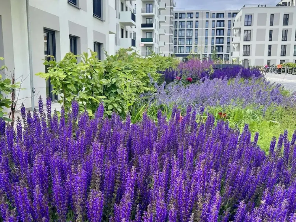2 Zimmer mit Balkon - HAVELUFER Quartier