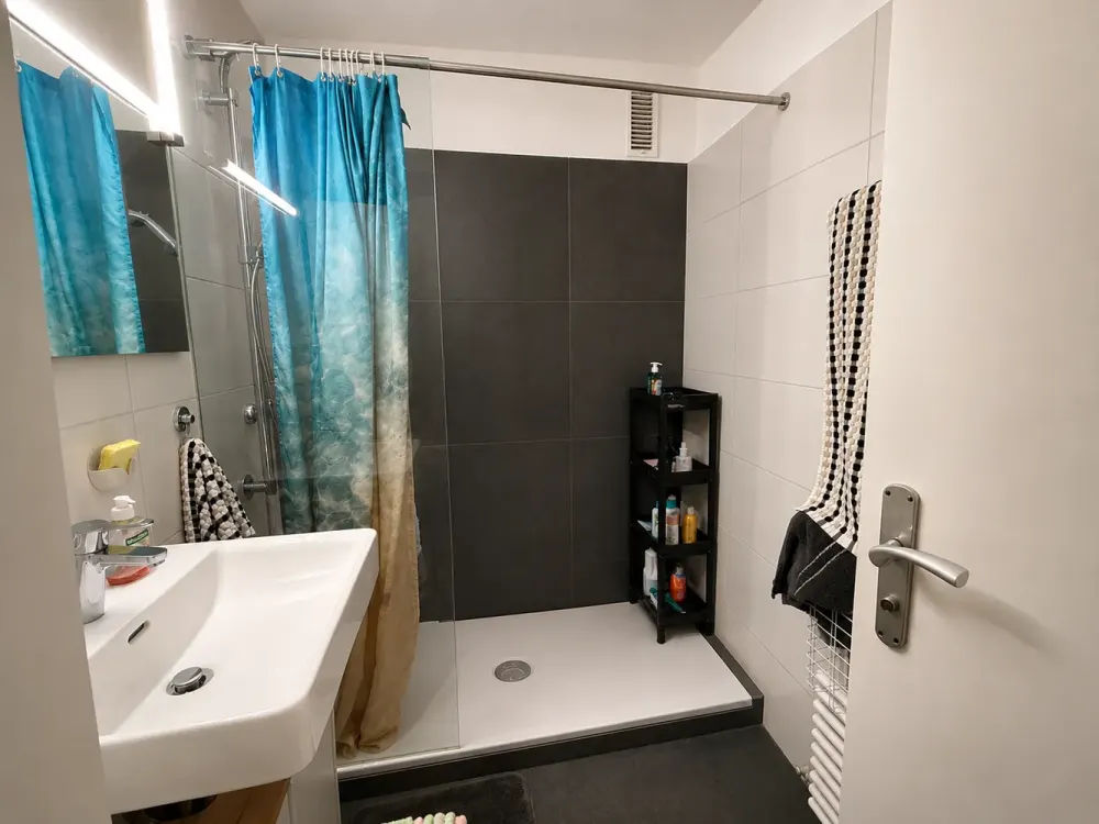 Kürzlich sanierte 3-Zimmer-Wohnung mit Einbauküche und Balkon
