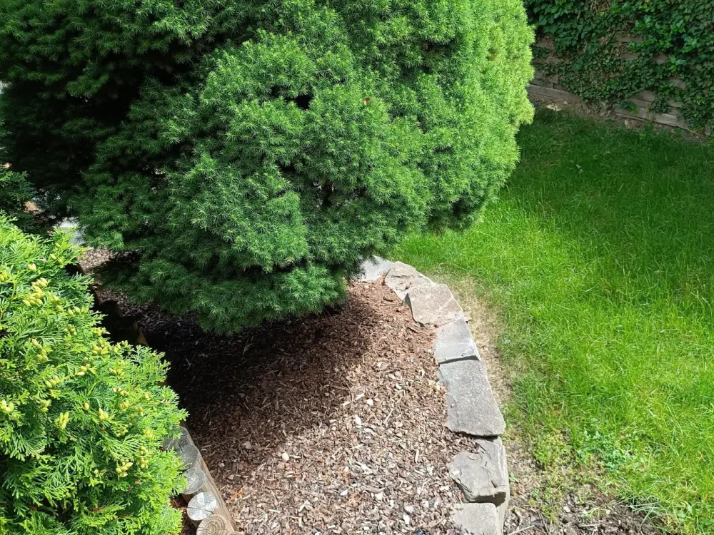 Zauberhaftes Wohnen als Untermiete/Frauen WG in Gartenwohnung mit Pool