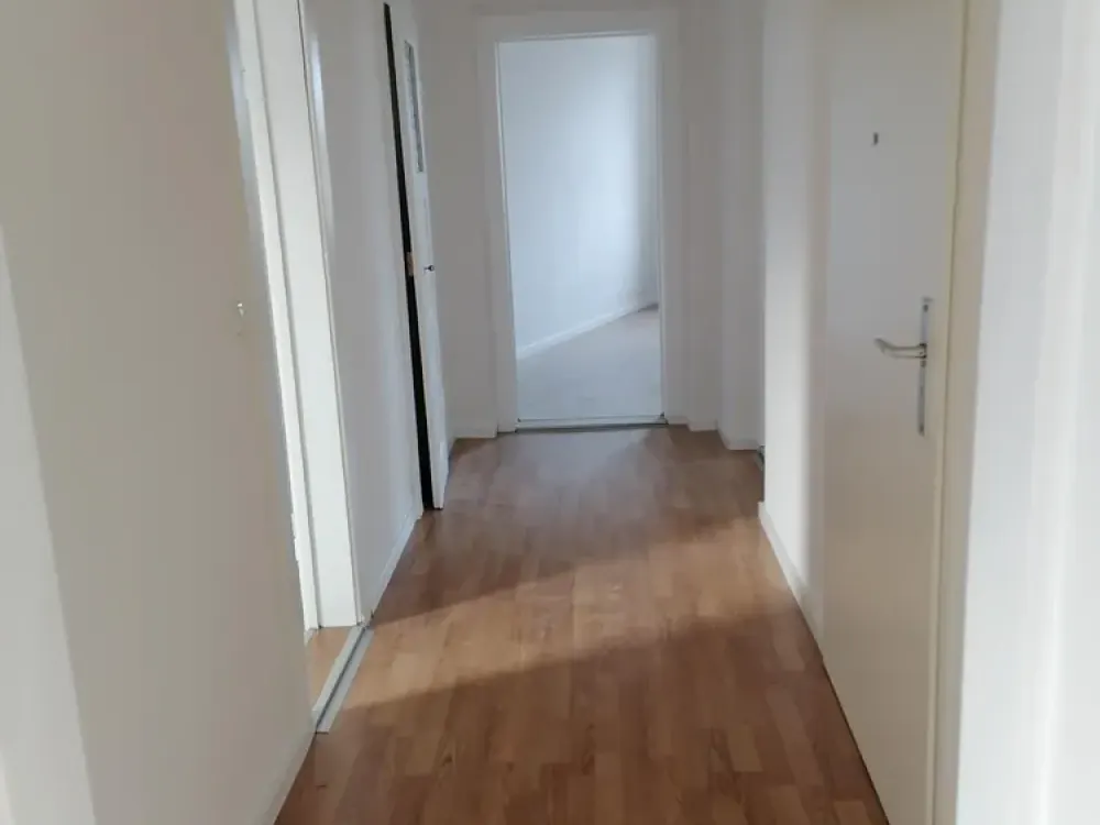 Gemütliche 2- Zimmerwohnung in Dresden-Pieschen zu vermieten