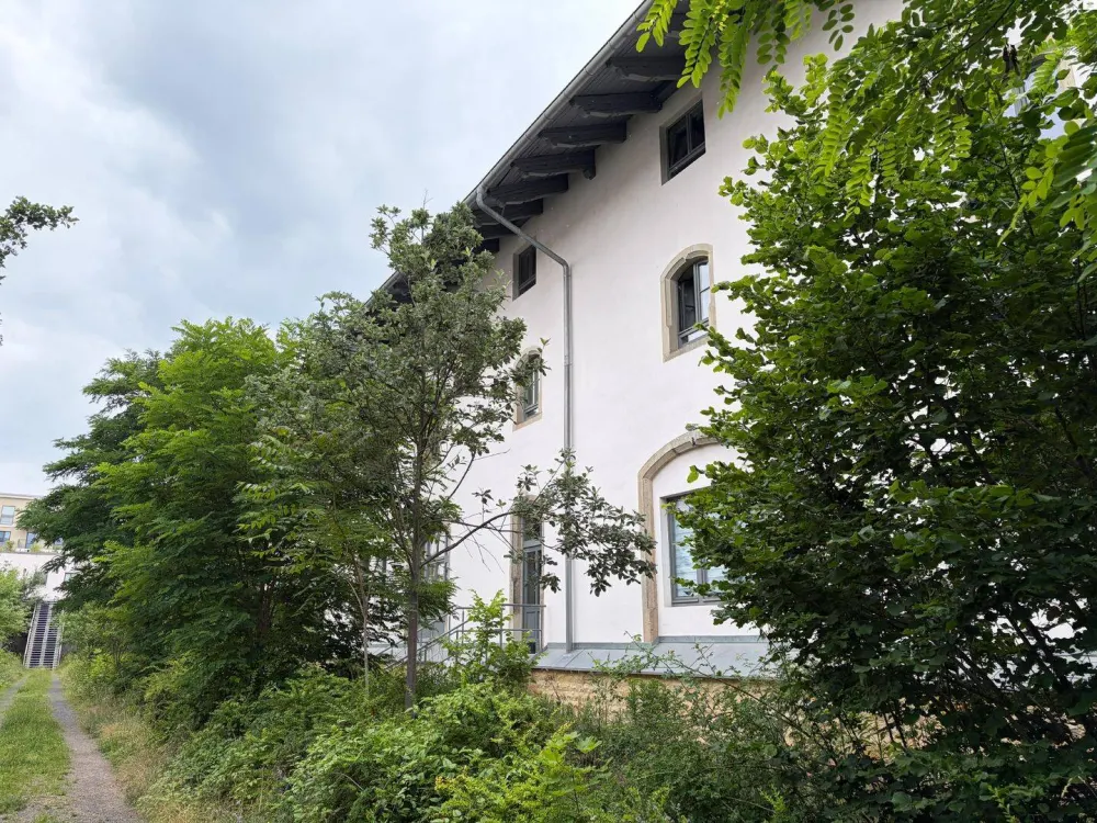Dach-Apartment