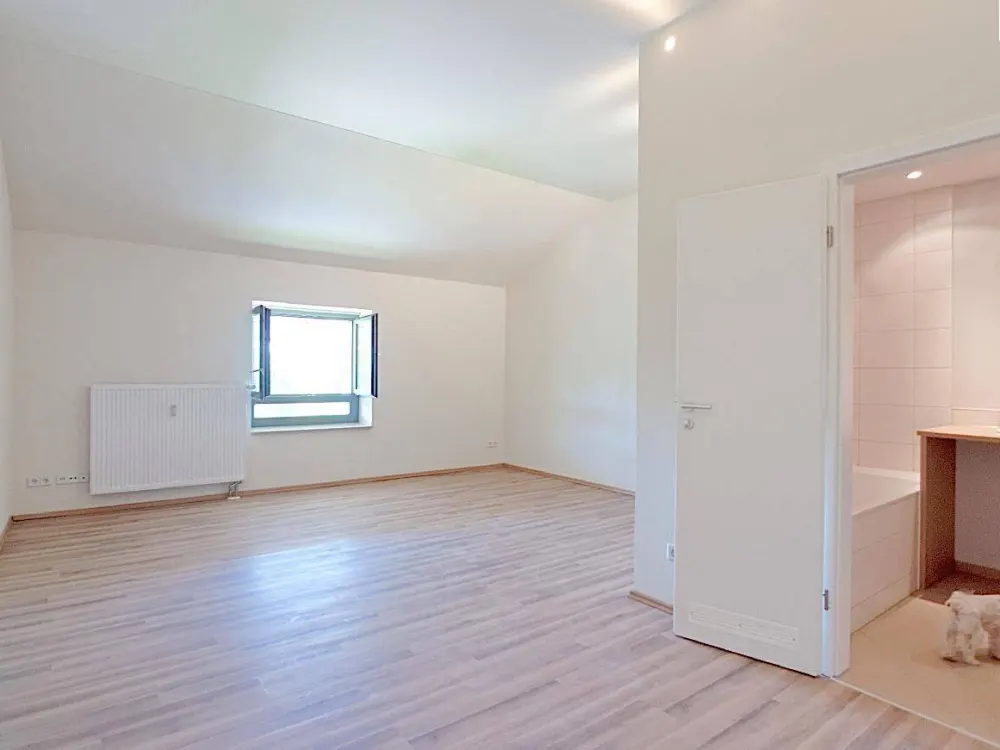 Dach-Apartment