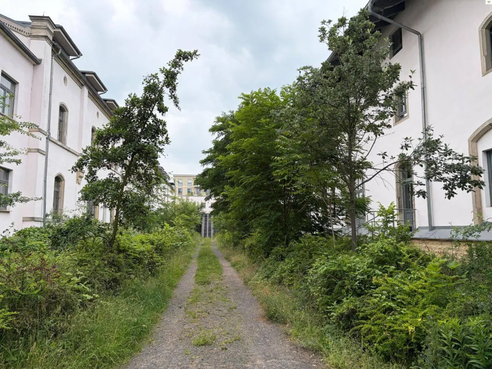 Dach-Apartment
