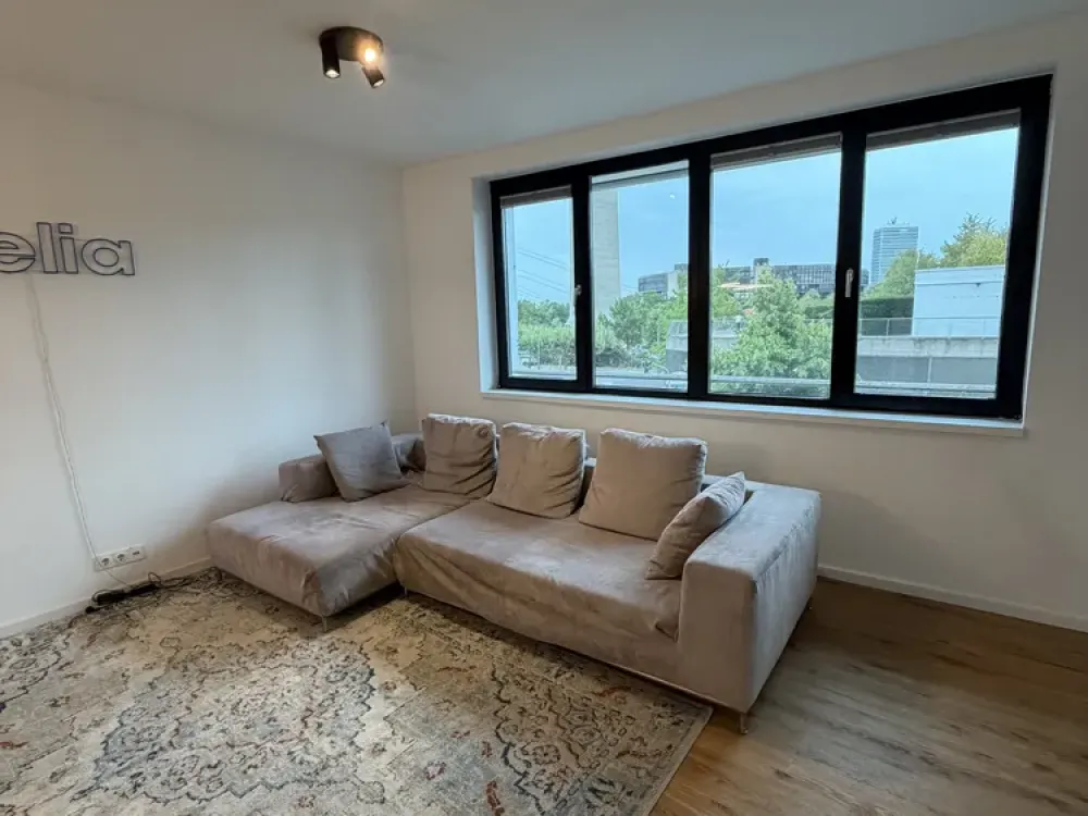 Stylish Maisonette Apartment with Rhine View